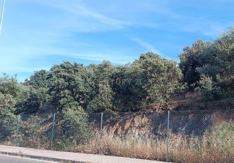 Terreno - Image 8