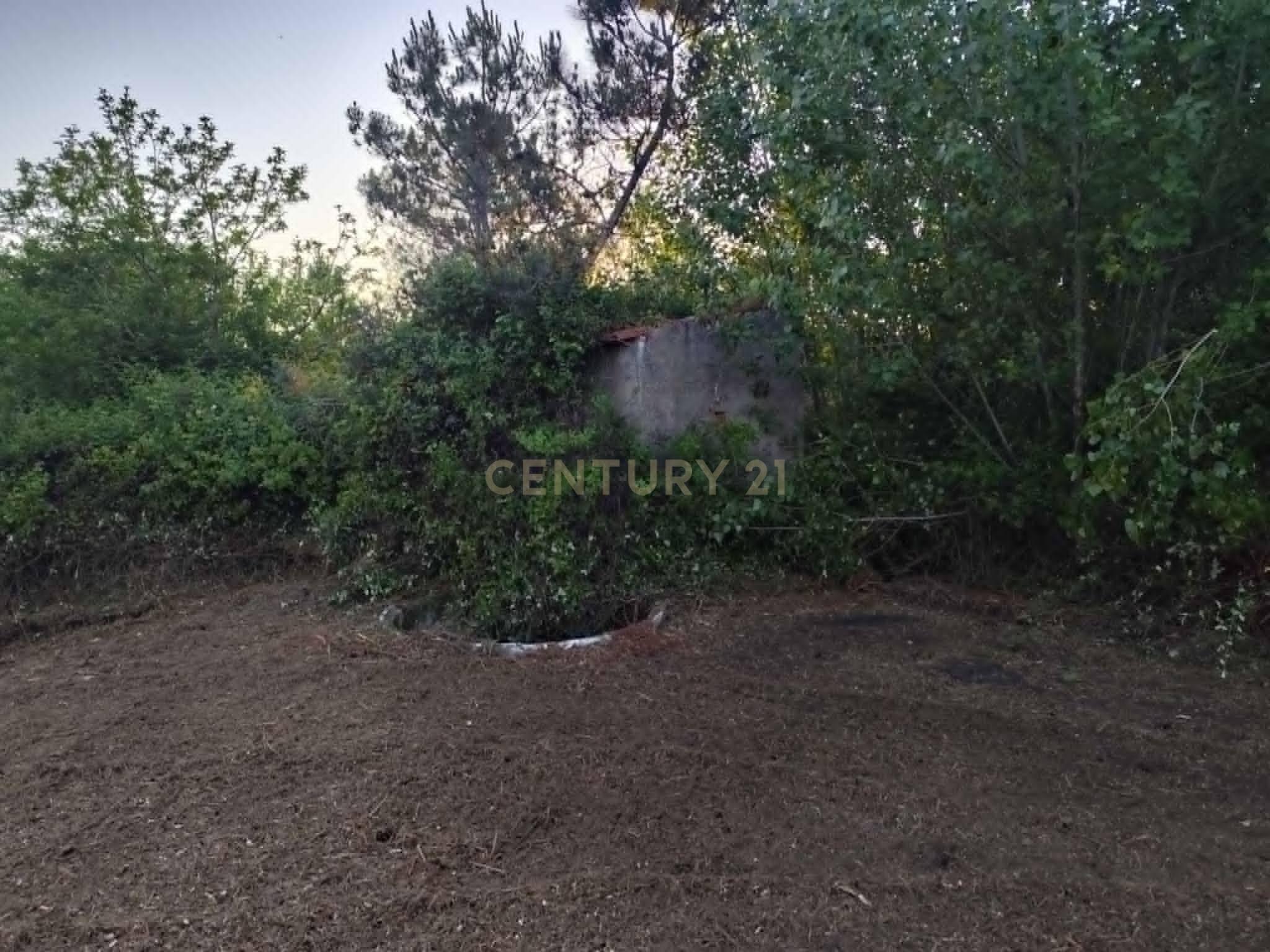 Fotografia 2 de Terreno Rústico com 1.360 m² em Vale Sobreiro — Pataias e Martingança