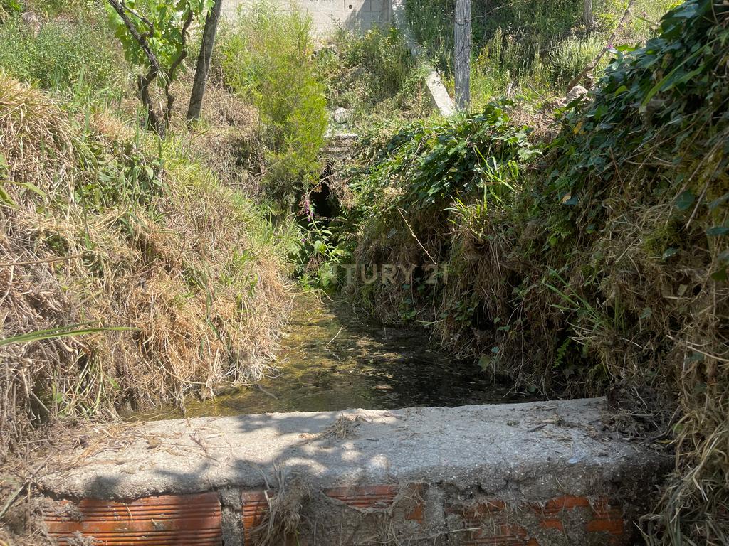 Terreno de 7.500 m² situado próximo ao lago, contendo uma casa a ser restaurada e um aviário automatizado altamente rentável. - Image 51