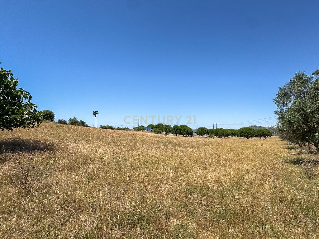 Terreno rústico agrícola, em Pessolhos, Setúbal - Image 26