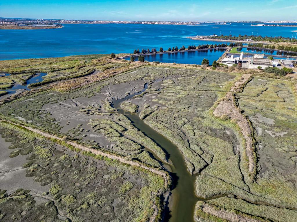 Terreno 20,18ha, Montijo - Seixalinho, para actividades de piscicultura e agricultura - Image 4