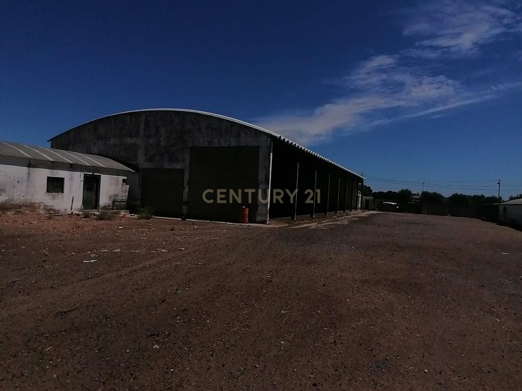 Beja, 2040,150 m2 de Armazéns Diversos instalados em 7190,690 m2 de terrenos Urbanos e ainda 2,5 hectares de terrenos Rústicos - Image 21