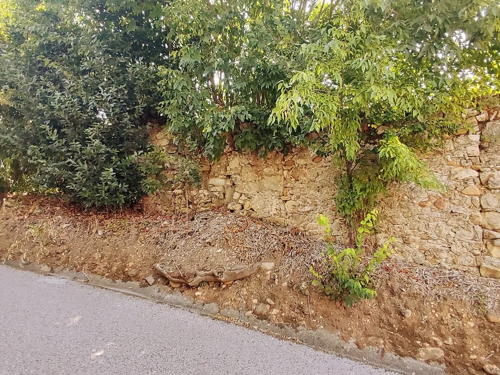 Terreno para construção de moradia em Geria, às portas da cidade de Coimbra - Image 6