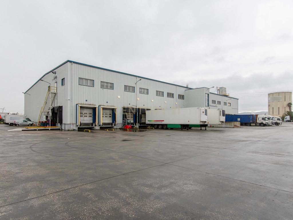 Armazém Industrial no Carregado - Image 1