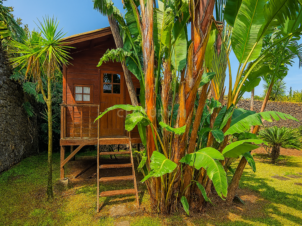  Country House em São Miguel, Açores: Refúgio Privado de Charme com piscina e quinta - Image 74