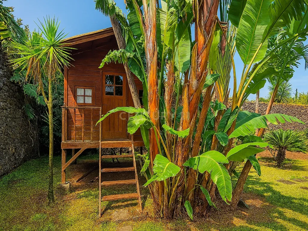 Country House em São Miguel, Açores: Refúgio Privado de Charme com piscina e quinta - Image 74