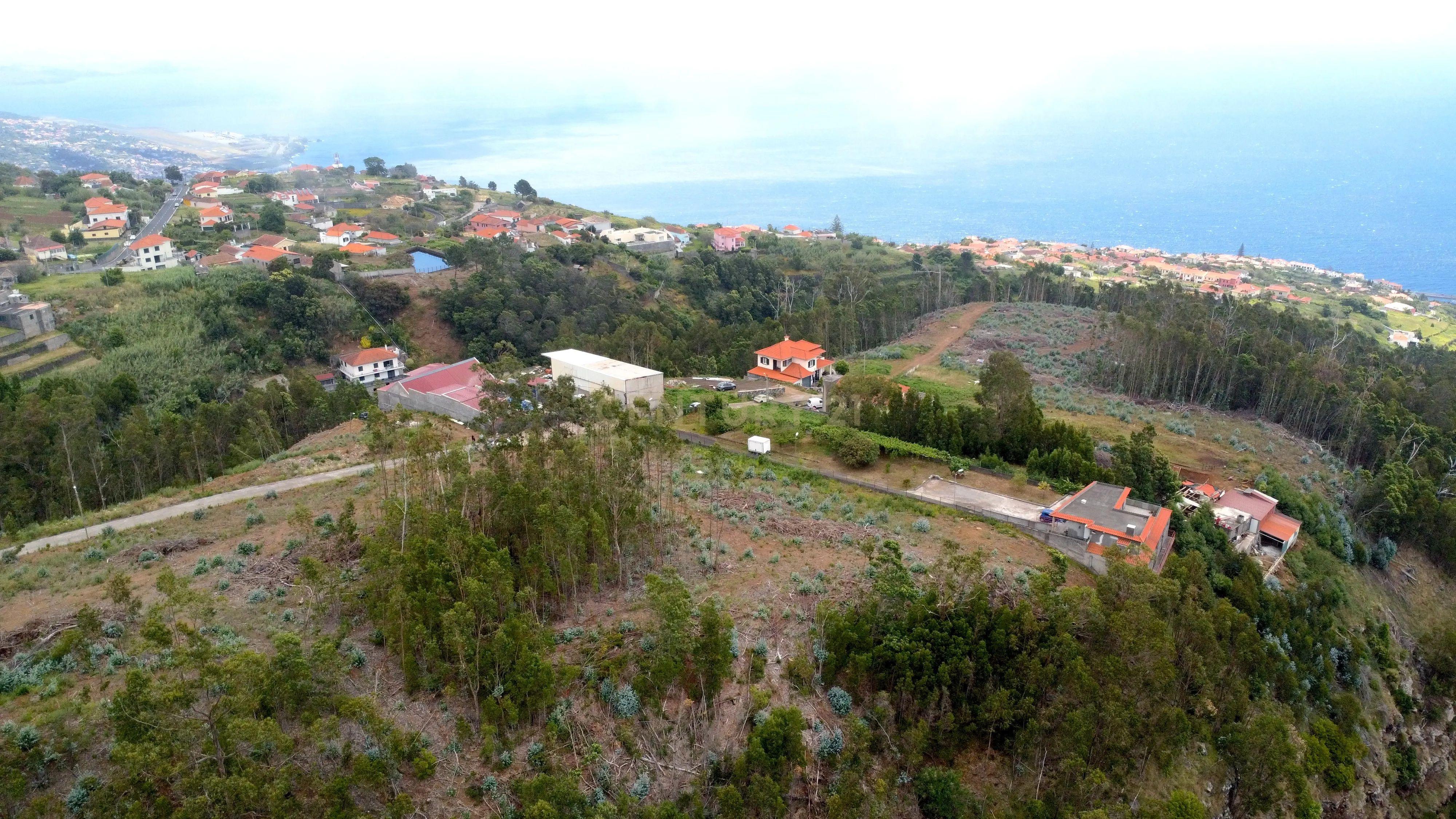 Fotografia 5 de Terreno Rústico em Gaula, Santa Cruz - Ilha da Madeira
