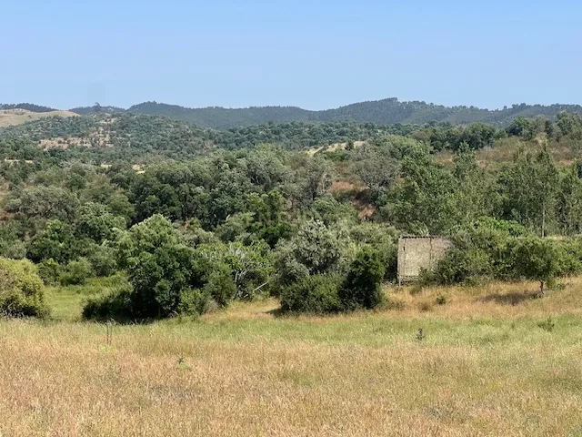 Herdade com 59,225 ha , 687m2 urbano, nascente de água, em Colos, Odemira - Image 59