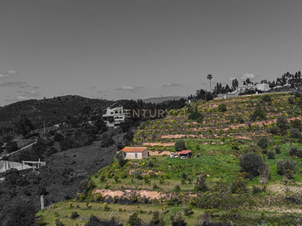 Quinta para venda com vista para Castelo de Silves - Image 8