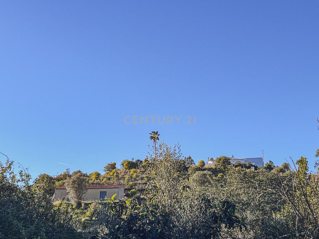 Quinta para venda com vista para Castelo de Silves - Image 3