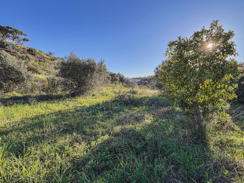 Quinta para venda com vista para Castelo de Silves - Image 24