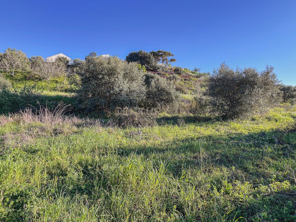Quinta para venda com vista para Castelo de Silves - Image 19