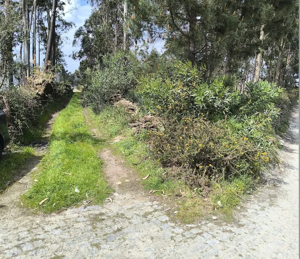 Terreno rústico com 1.750 m², situado em Fão, Esposende - Image 2
