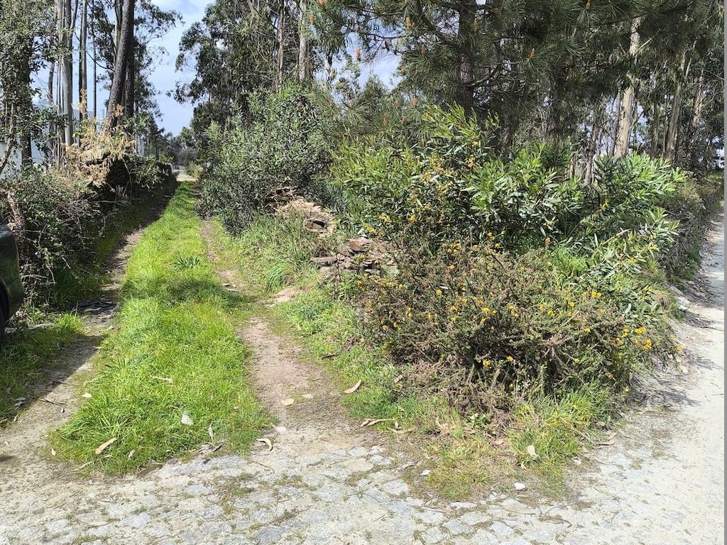 Terreno rústico com 1.750 m², situado em Fão, Esposende - Image 2