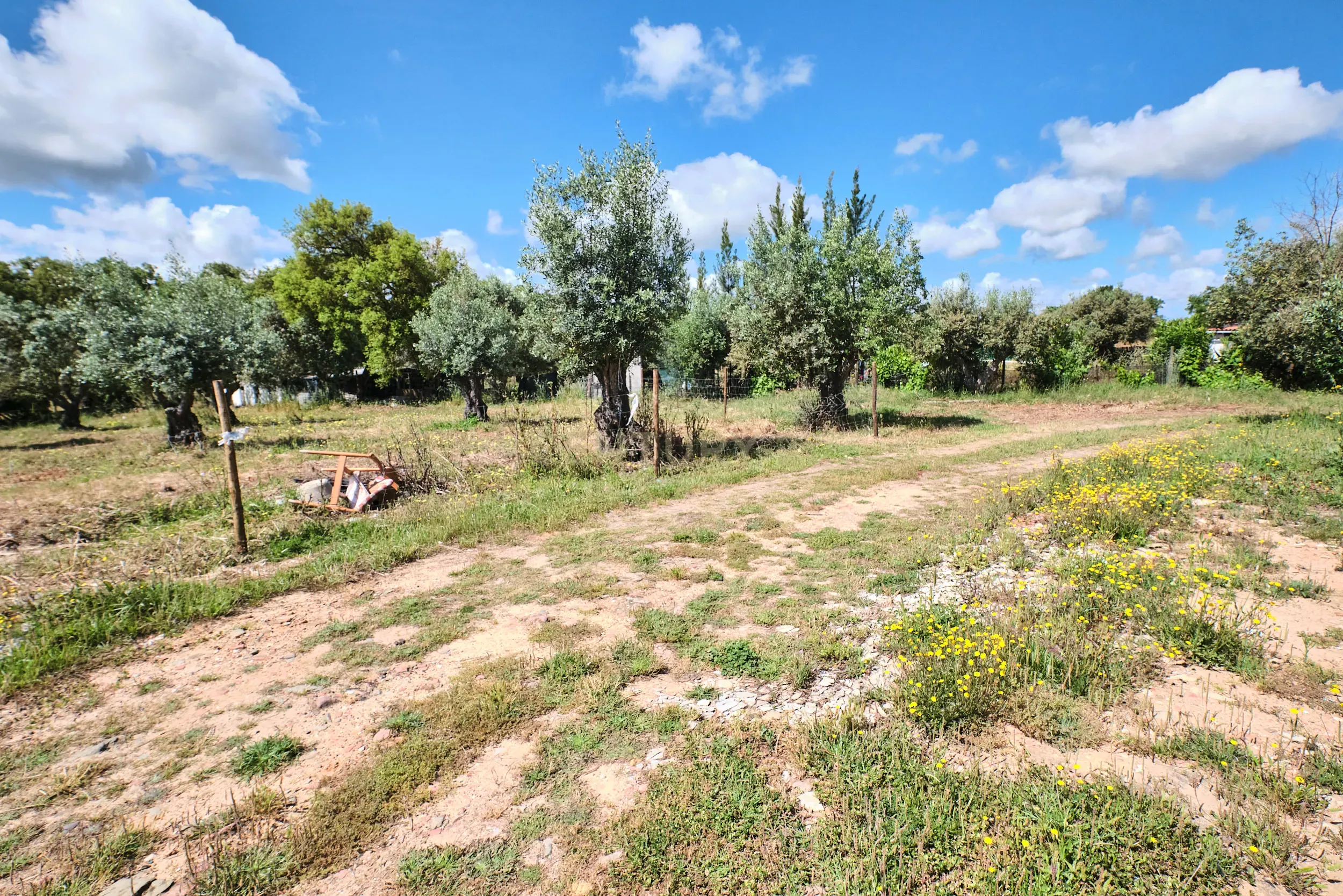 Viva o autêntico Alentejo – Seu refúgio em Ermidas do Sado - Cova do Gato espera por si - Image 16