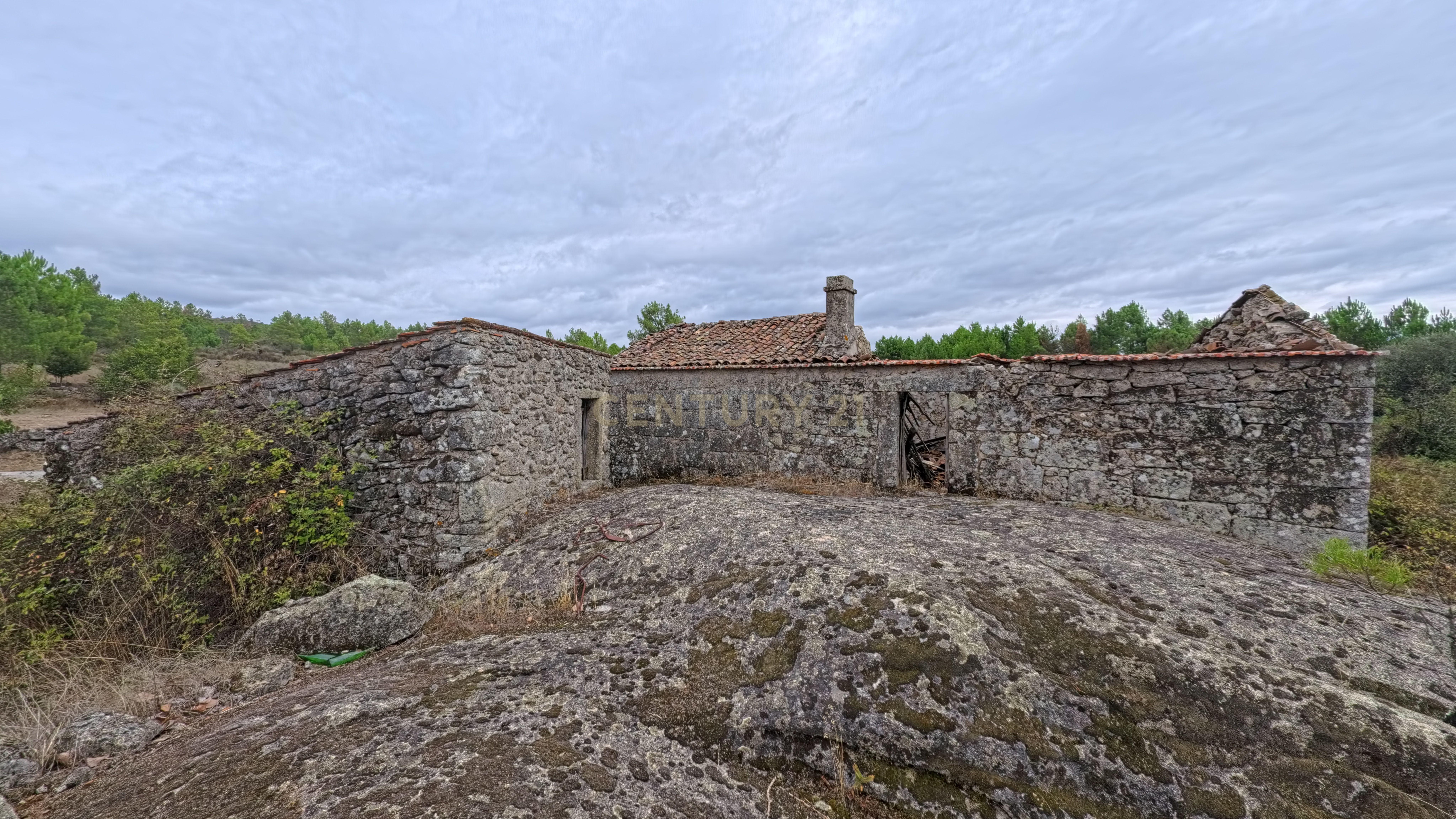 Fotografia 4 de Quinta com 37.000 m² e casa de pedra em Figueiró da Granja - Fornos de Algodres