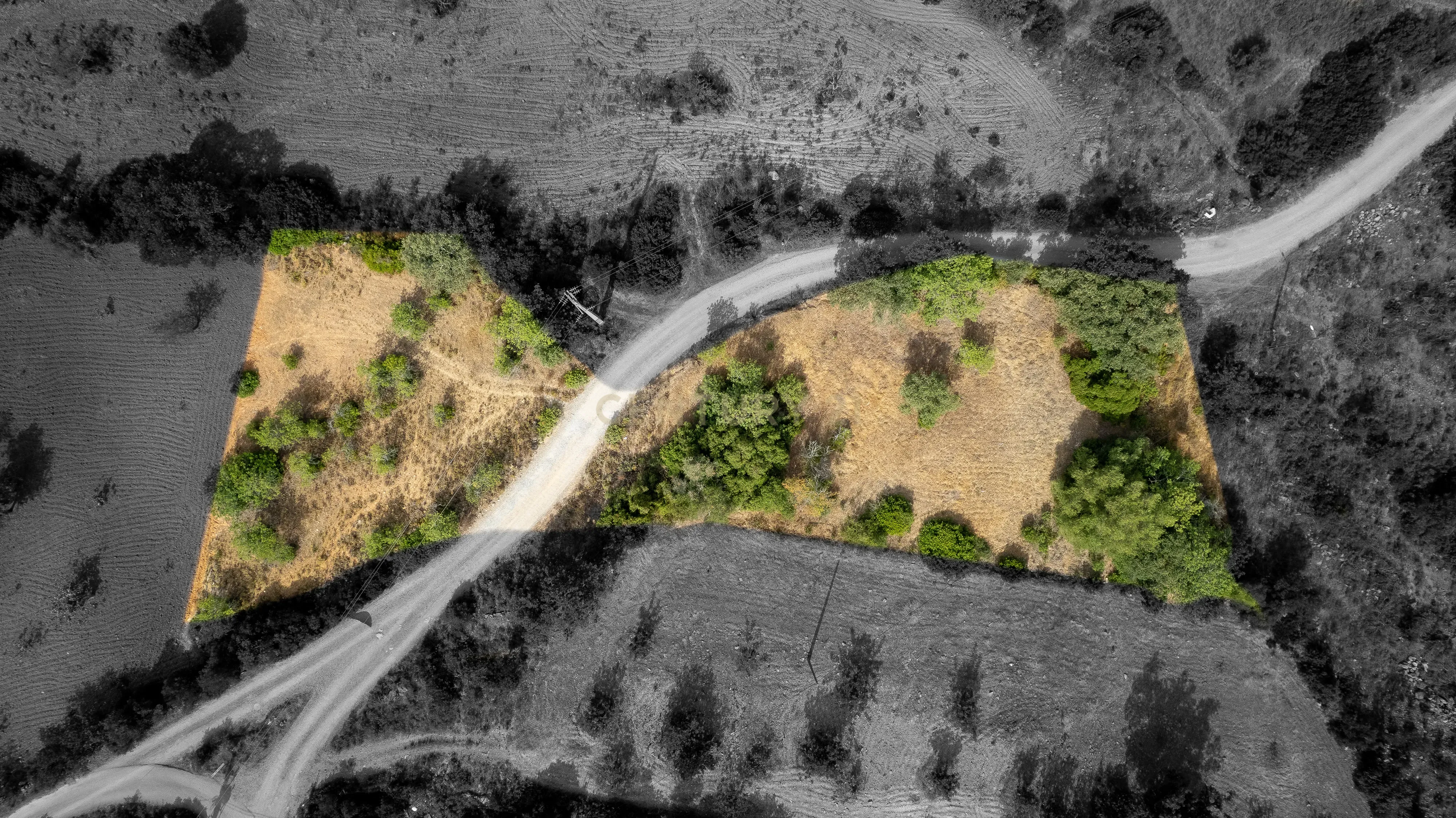 Fotografia 5 de Terreno Rústico de 2.660 m² entre Pechão e Estoi
