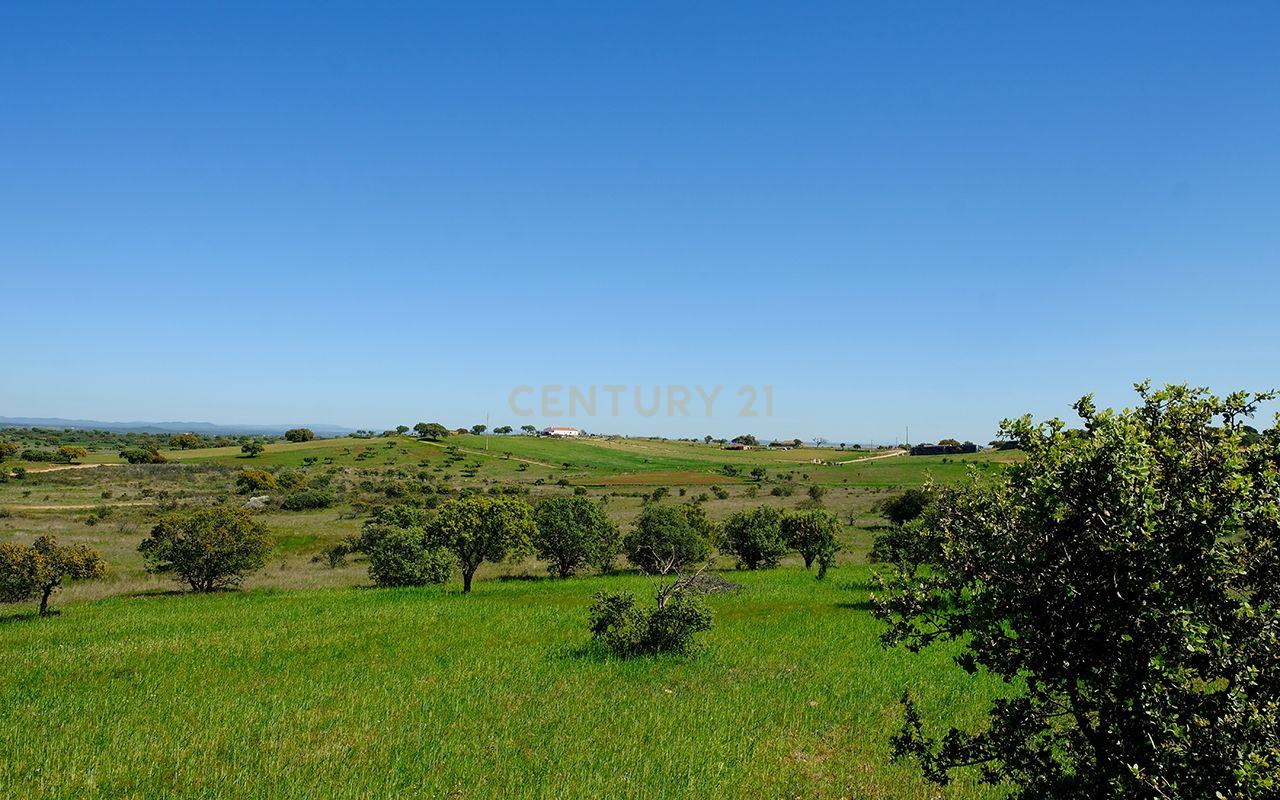 Fotografia 8 de Terreno Misto em Monsaraz, Reguengos de Monsaraz