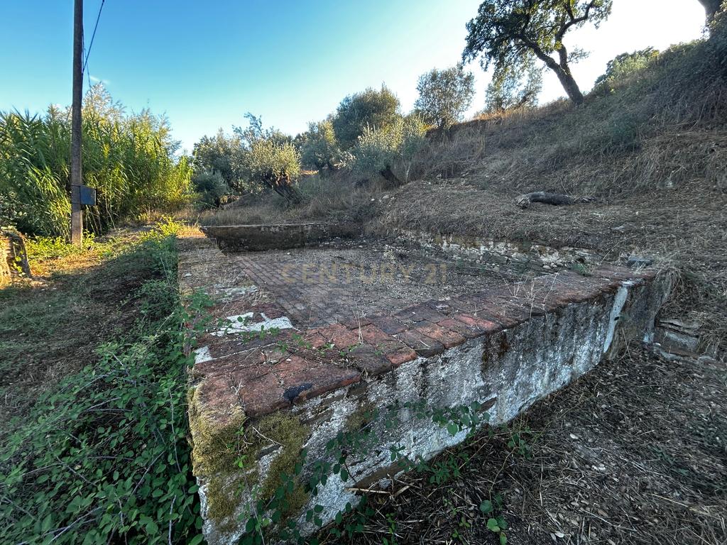 Quinta c/2,5 hectares , casa pré fabricada e ruína para reconstrução. - Image 13