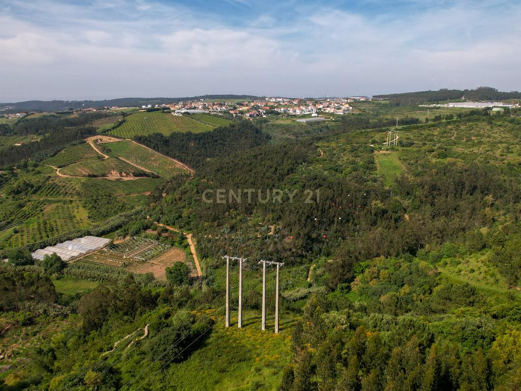 Terreno Rústico com mais de 1.5 Hectares em Mafra – Vista Linda e Perto da Ericeira! - Image 7