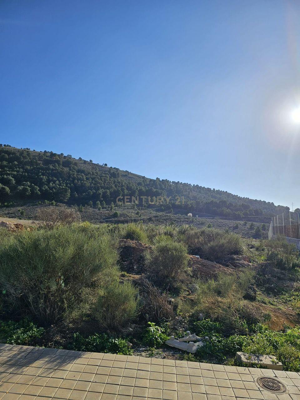 undefined - Image 4