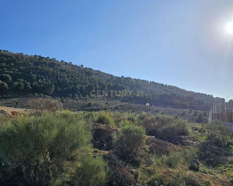 undefined - Image 4