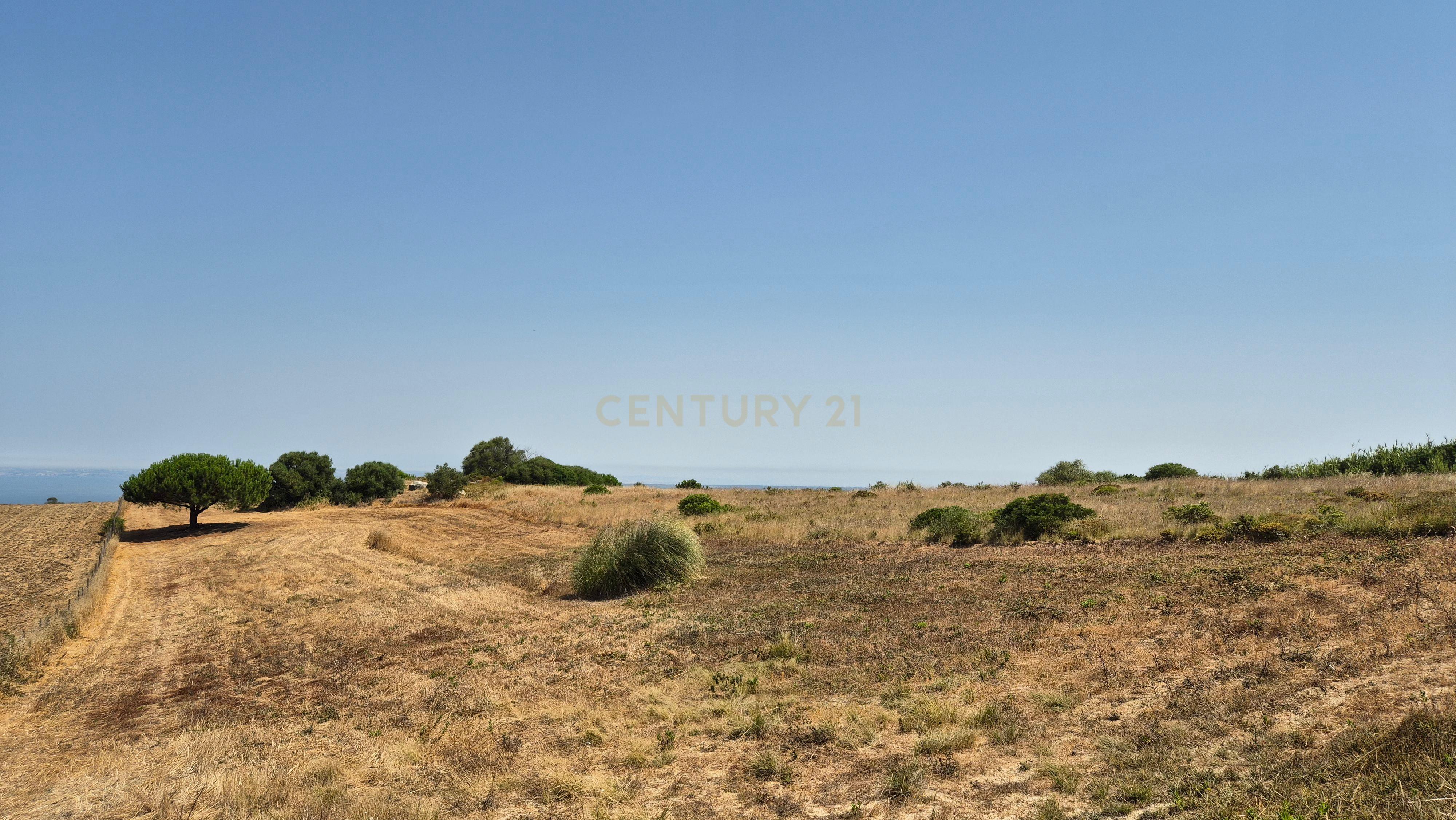Fotografia 7 de Terreno com Vista Mar e Lisboa na Azoia (15.700 m²) | PIP Aprovado para Moradia + Cave