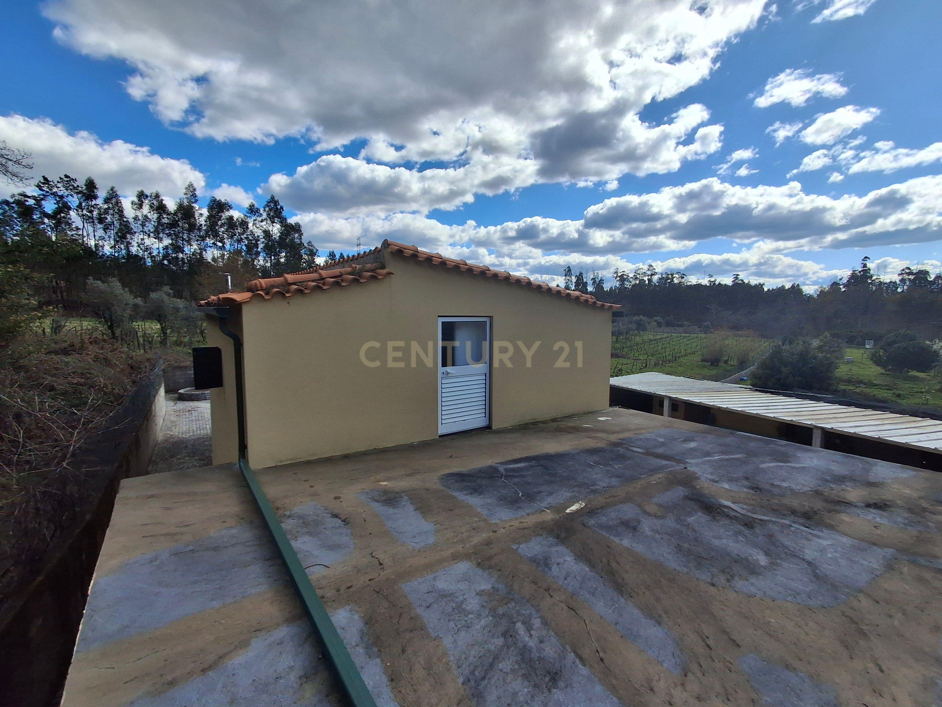 Quinta em Ribeira, Campo de Besteiros, Tondela. - Image 38