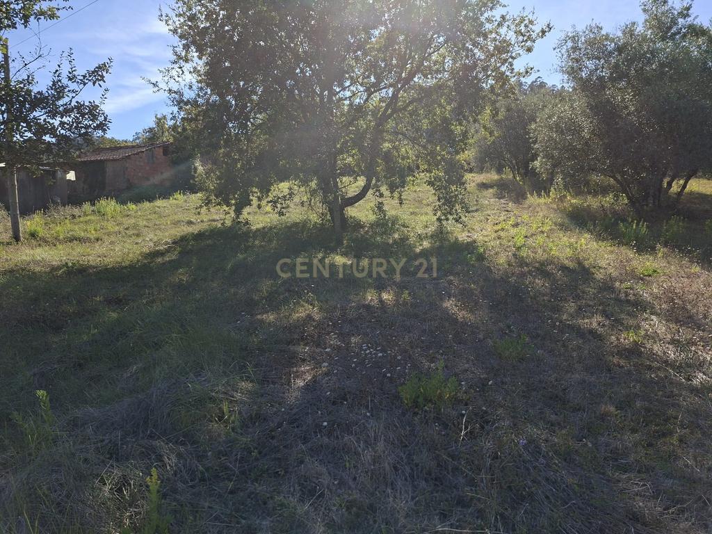Terreno em Pombal com Vista Panorâmica e Acessos Convenientes - Image 27