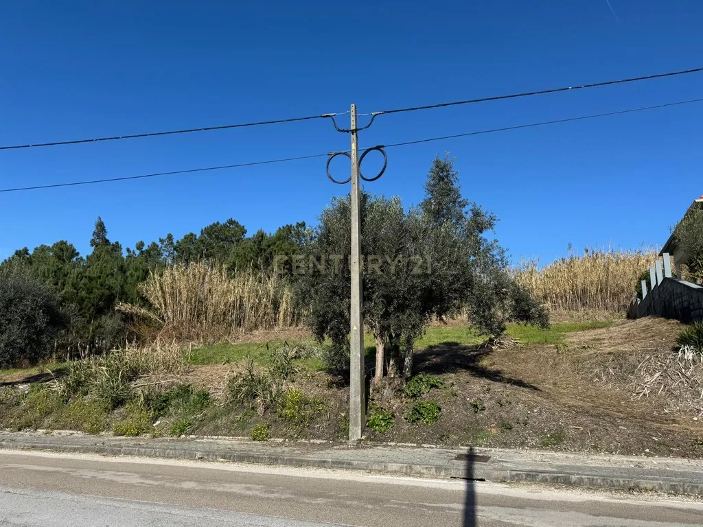 Terreno Panorâmico em Pombal - 1020m² por 34.500€ - Image 2