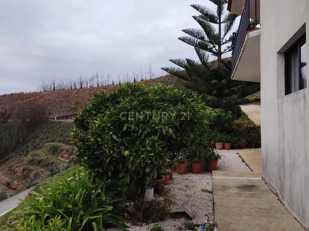 Moradia com terreno em Sever do Vouga – O equilíbrio perfeito entre conforto, natureza e privacidade - Image 8