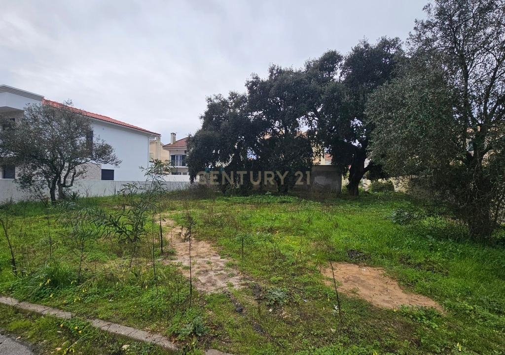 Terreno Urbano em Aires - Palmela - Construa a sua Moradia! - Image 3