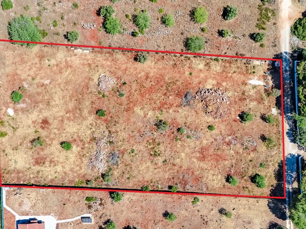 Terreno de 5000 M2 com Projeto em Fase de Aprovação – Foral, Silves | Algarve - Image 13