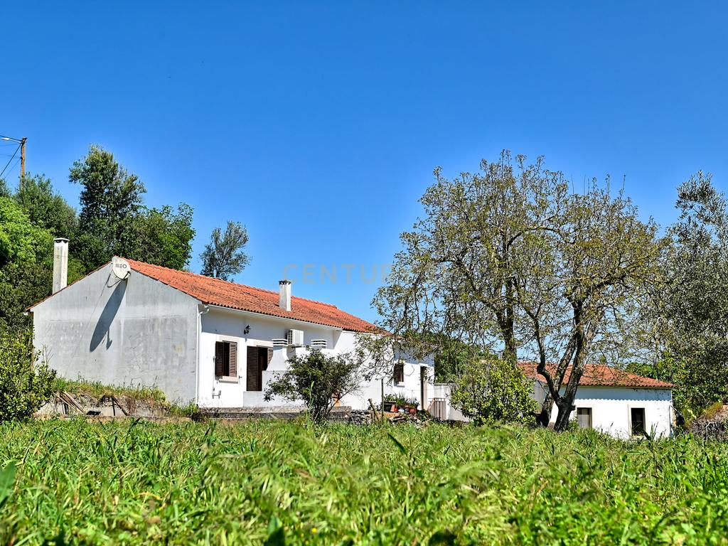 Bela Casa de Campo em Santarém  - Image 5