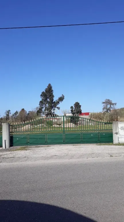 Terreno - Image 1