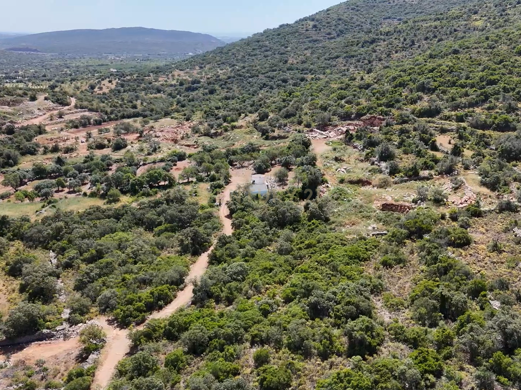 230.000€ Conjunto de 3 terrenos rústicos - Barranco de S. Miguel - Image 3