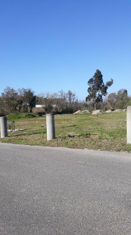 Terreno - Image 5