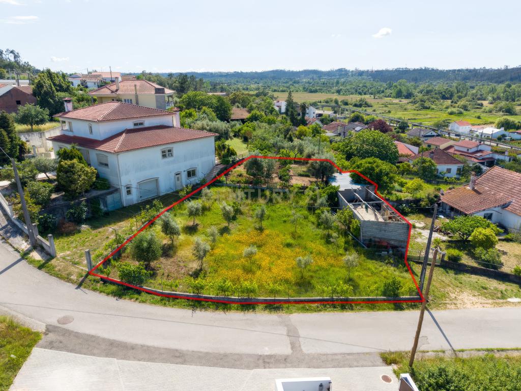 Excelente Terreno com Projecto Habitacional em Desenvolvimento - Image 4