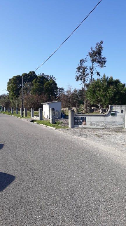 Terreno - Image 6