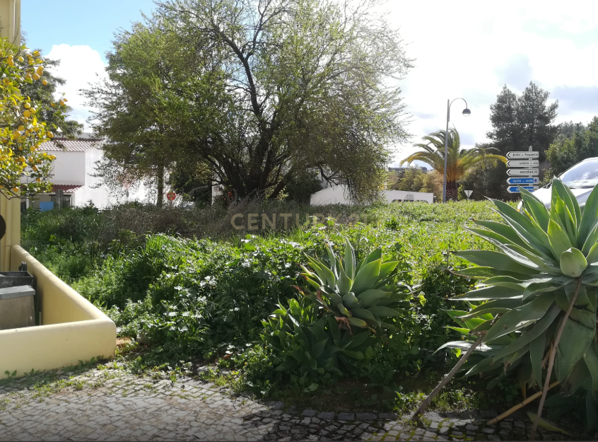 Fotografia 4 de Terreno Urbano para construção de moradia em São Bartolomeu de Messines, Silves