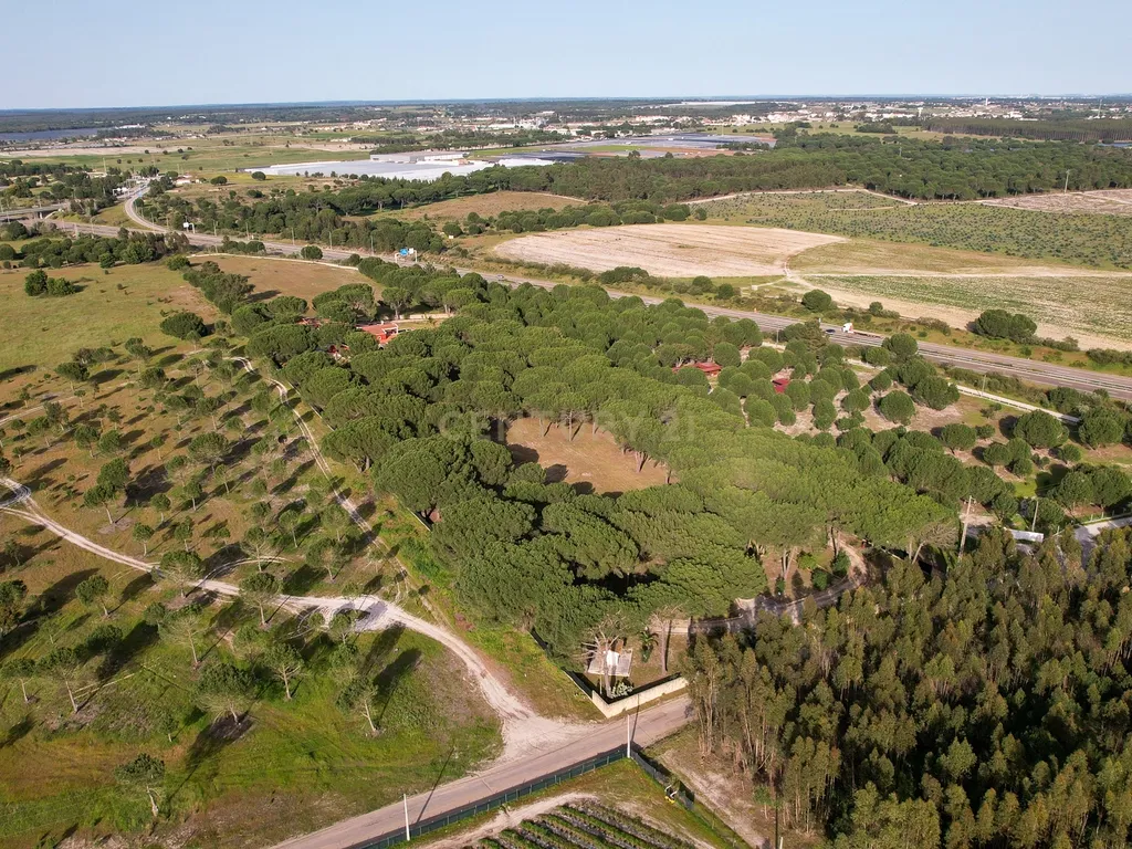 Fabulosa Quinta com lote de terreno de 22.381 m2, onde se encontra inserida uma moradia composta por dois pisos, com uma área bruta de 623 m2, uma área útil de 304 m2 e uma área bruta dependente de 319 m2, localizada em Santo Isidro de Pegões, na zona de Pegões, a pouca distância das belas praias de Setúbal. - Image 124