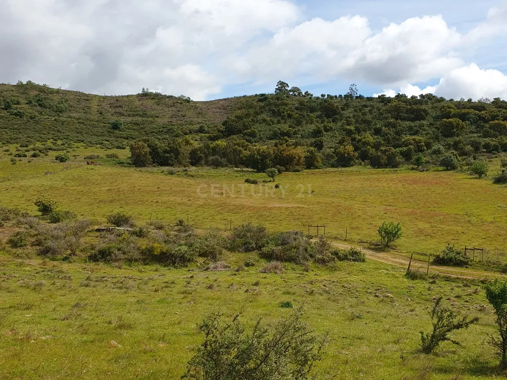 Terreno Urbano na Serra D`Ossa Redondo - Image 3
