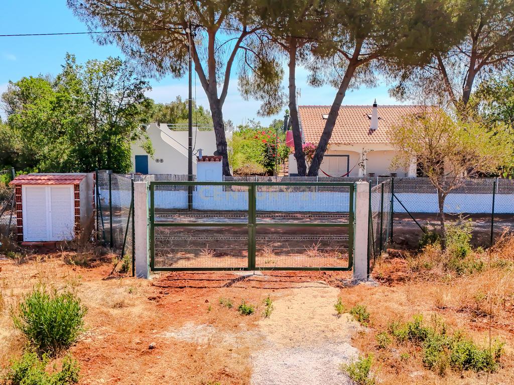 Terreno de 5000 M2 com Projeto em Fase de Aprovação – Foral, Silves | Algarve - Image 2