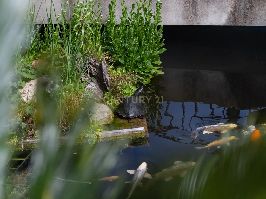 Propriedade com três habitações, piscina aquecida e sauna, num terreno de 10.000 m² - Image 131