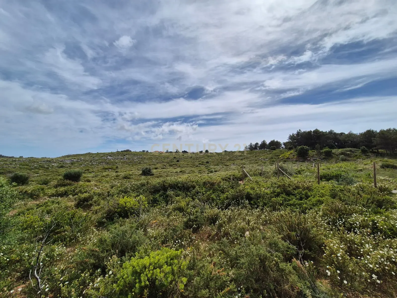 Fotografia 8 de Terreno Rústico com 20.000 m² em Murches, Cascais – Vista Serra de Sintra e Potencial Construção
