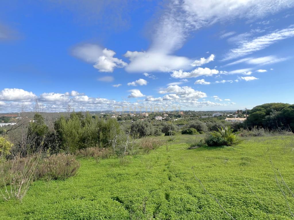 Terreno de 16.970 m2, com artigo urbano e grande potencial de expansão! - Image 9