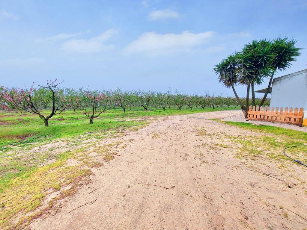 Herdade em Palmela T2 + 2 - T1 - Quinta Nova - Image 8