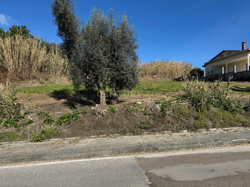 Terreno Urbano || Pombal - Image 1