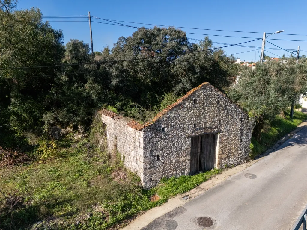 Terreno Urbano com Ruínas e Árvores de Fruto - 2.280m² - Longra, Tomar - Image 1