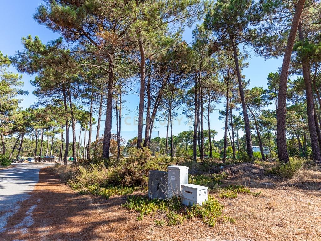 Terreno para Moradia de Luxo com Piscina e Jardim na Herdade da Aroreira - Image 12